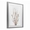 Stupell Industries Curly Floral Branches Framed Print Under Glass, design by Lanie Loreth
